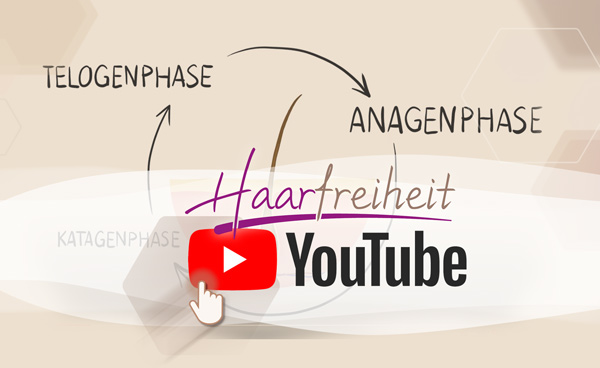 Youtube Link Video Wachstumsphasen