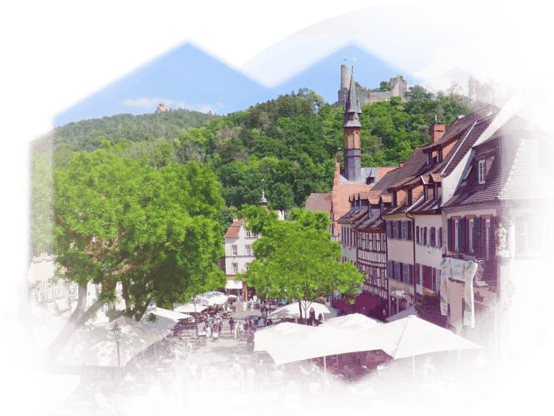 City view of Weinheim